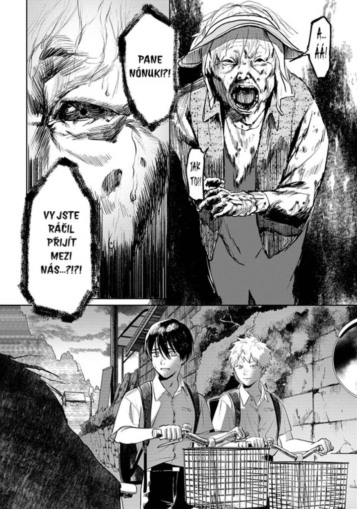 Léto, kdy umřel Hikaru 1 - stařena