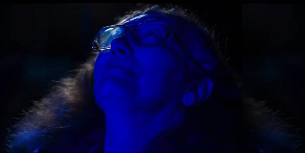 Rebecca Heineman - cover