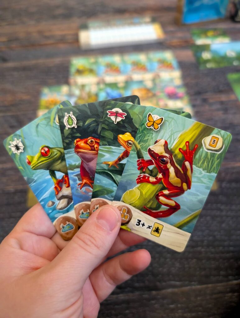 Jezírko - co vyložím v tomto kole?