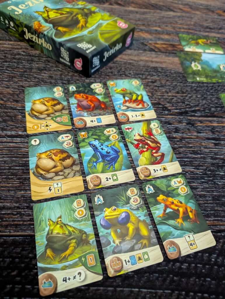 Jezírko - jednotlivé druhy žab jsou velmi rozmanité