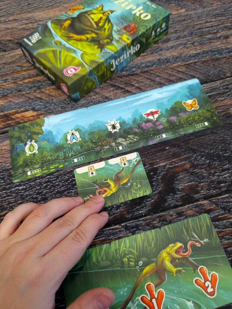 Jezírko - skákající žába