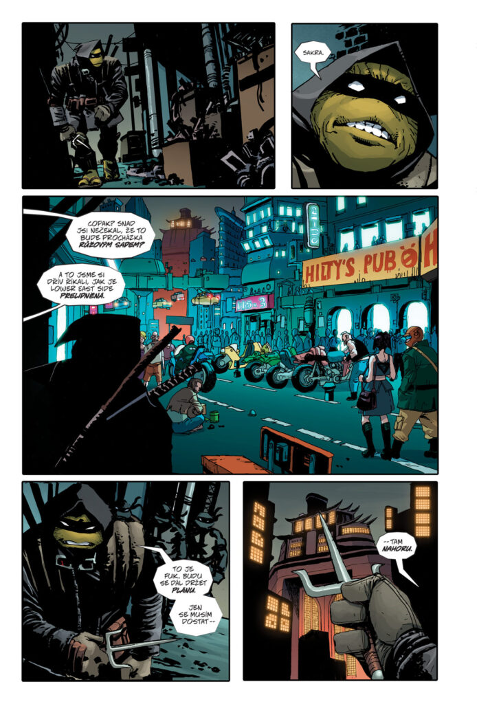 Želvy Ninja Poslední rónin