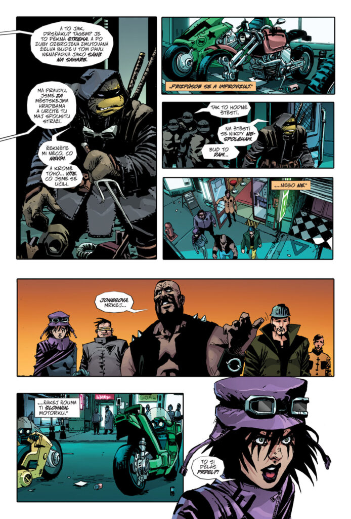 Želvy Ninja Poslední rónin