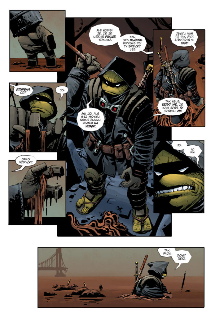 Želvy Ninja Poslední rónin