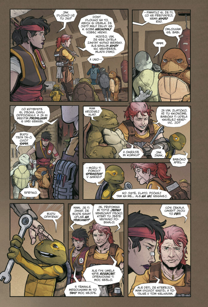 Želvy Ninja Poslední rónin – Ztracená léta