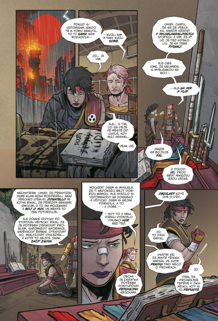 Želvy Ninja Poslední rónin – Ztracená léta