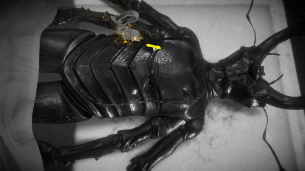 Chicken Police – Pitva