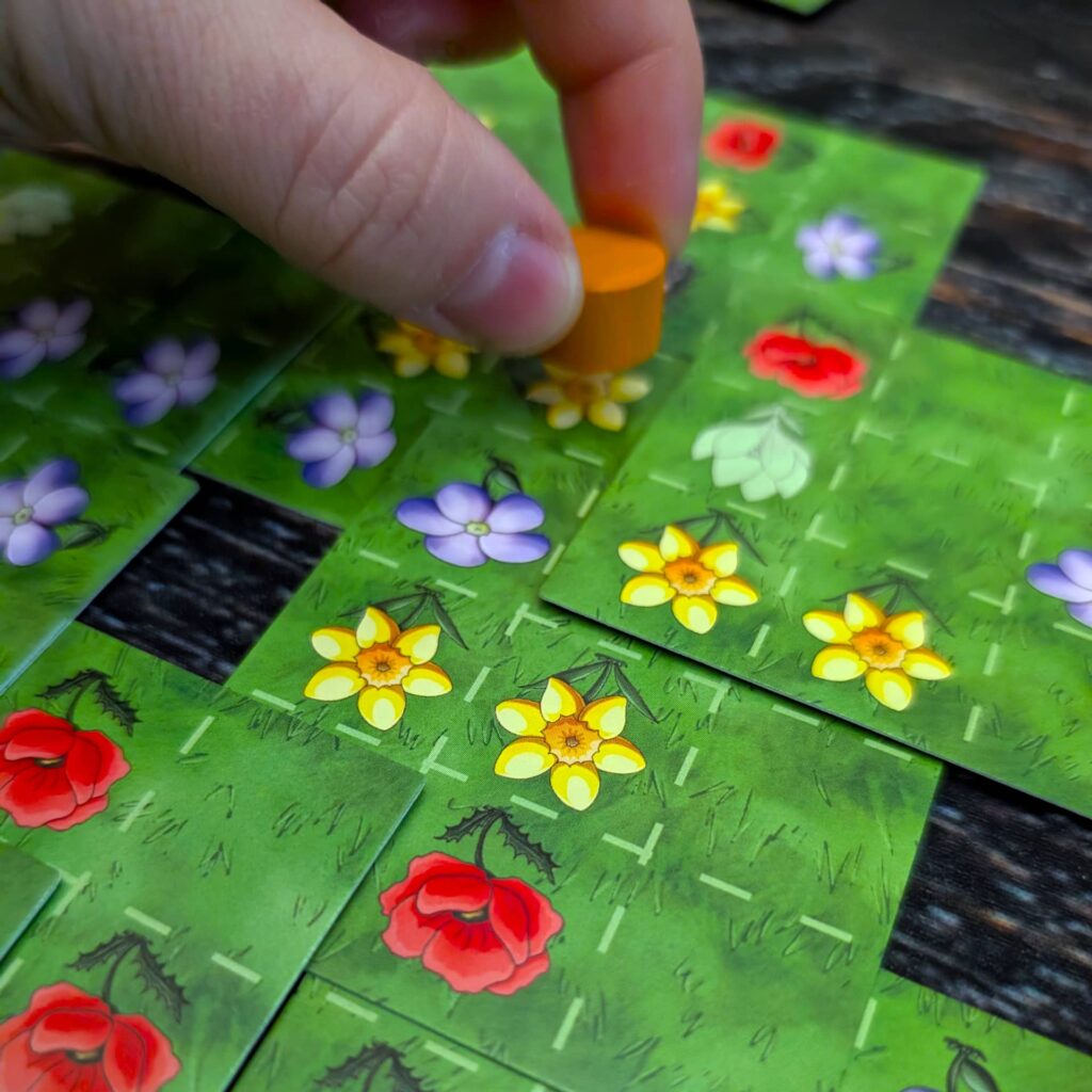 Čmeláci - letící čmelák