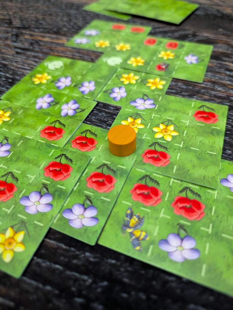 Čmeláci - nachystaná cesta červených květin