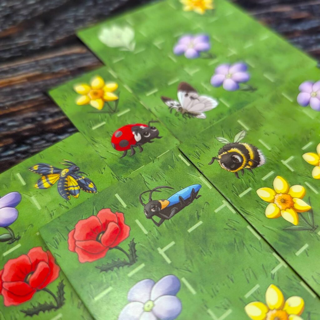 Čmeláci - zvířata na louce