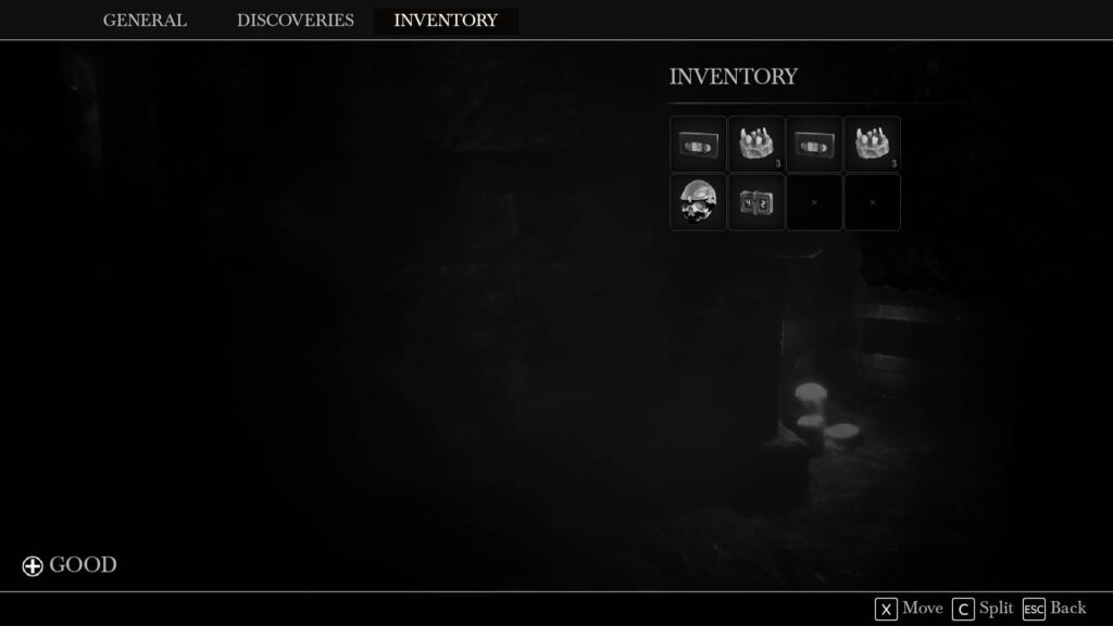 Dead Format - inventář