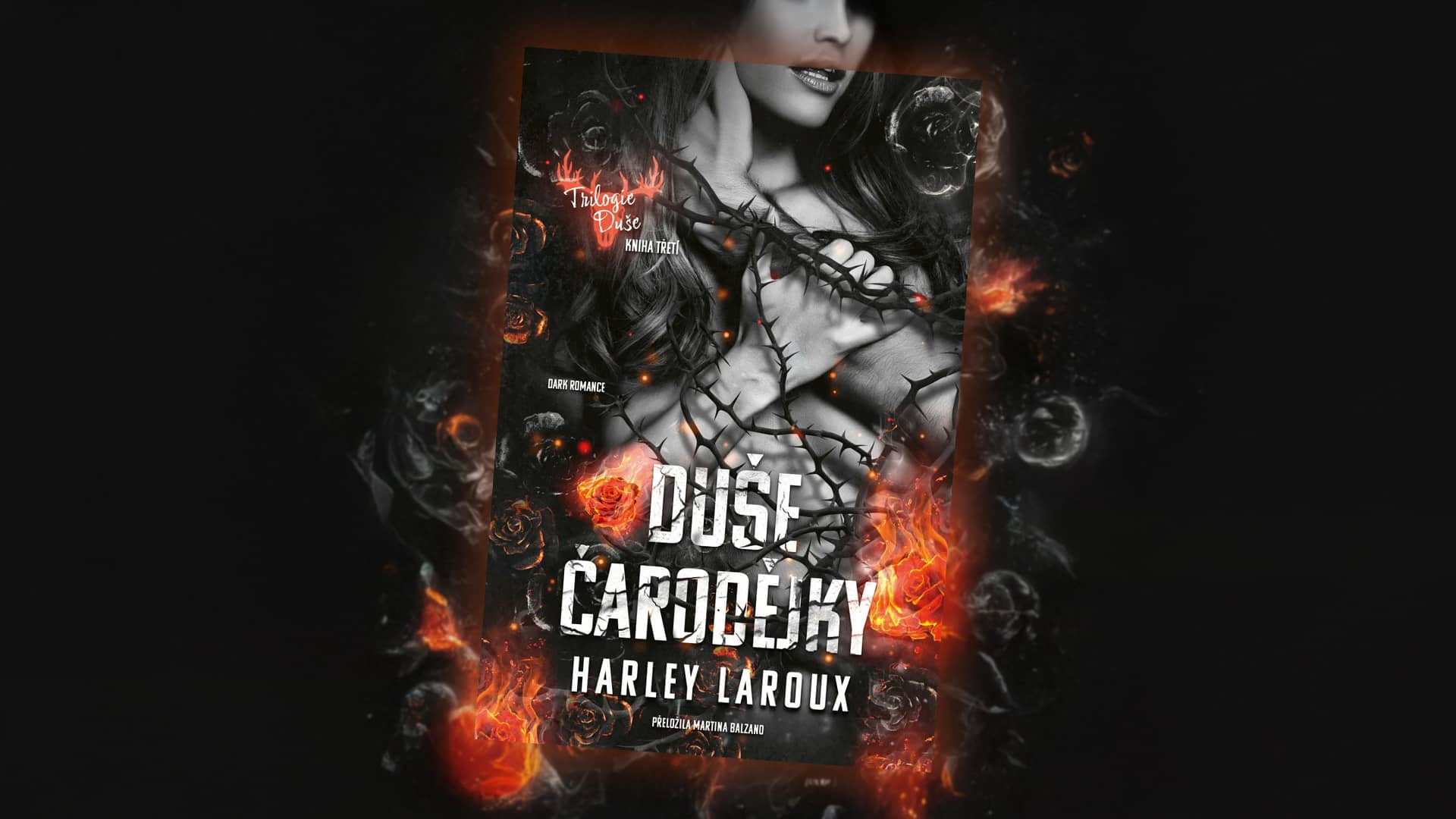 Duše čarodějky - titulka knihy