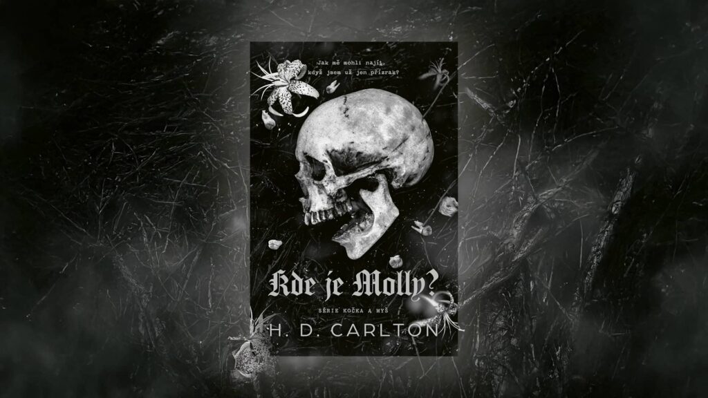 Kde je Molly - titulka knihy