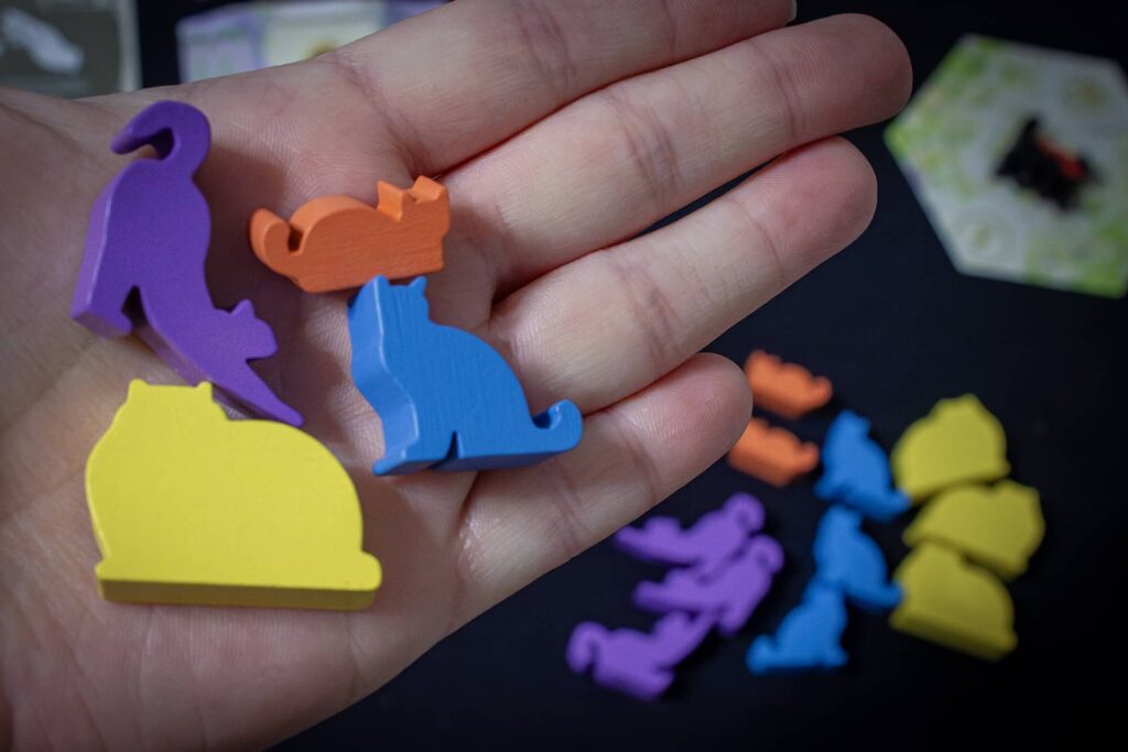 Koťátko, nespadni - kočičí kamarádi