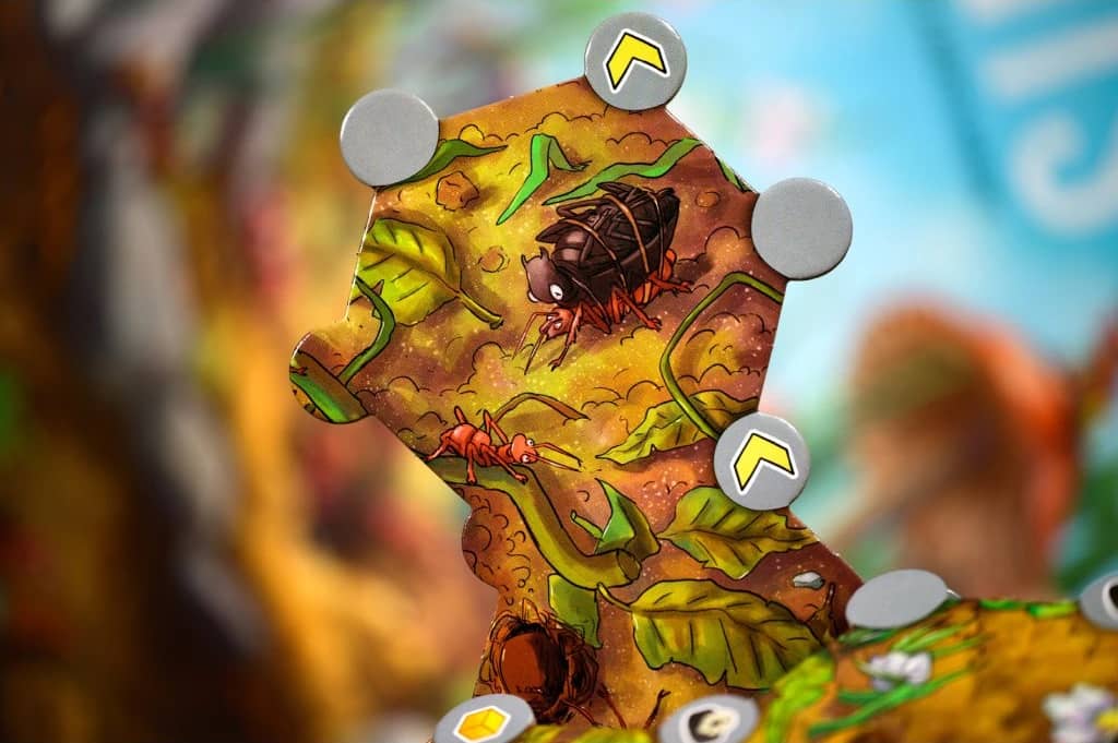 Mravenci - rozvíjejte svoji kolonii