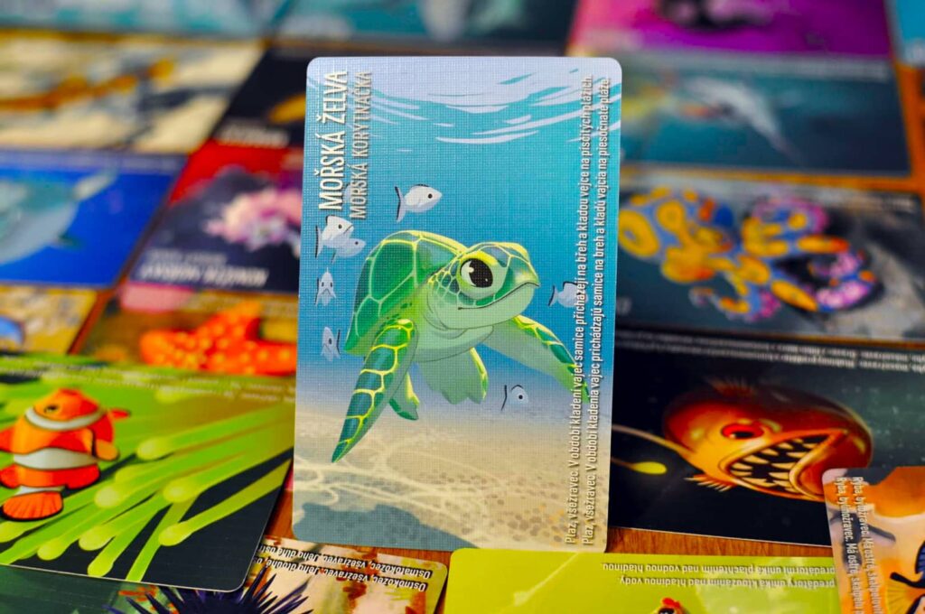 Similo - mořská želva