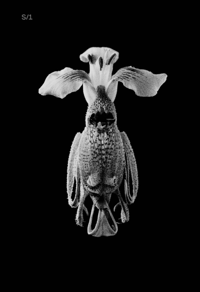 Symbiont - ukázka 1