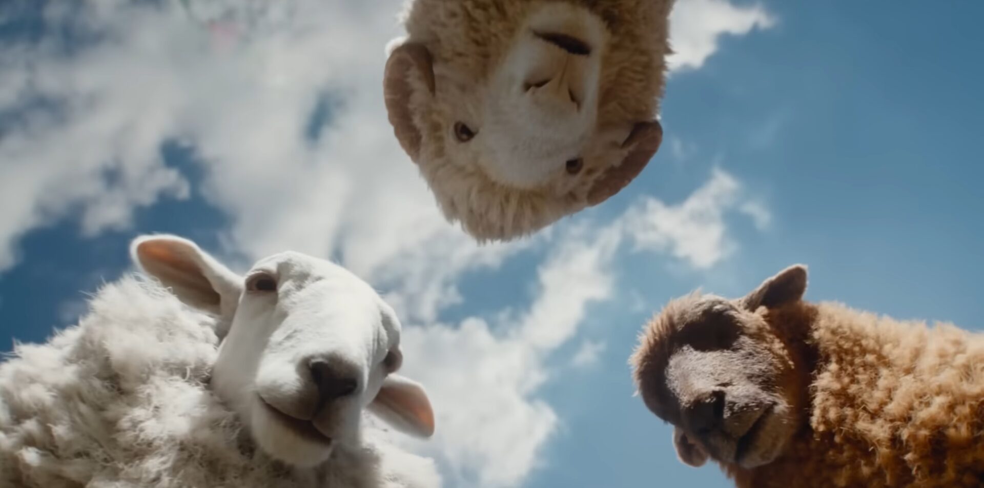 The Sheep Detectives - náhled