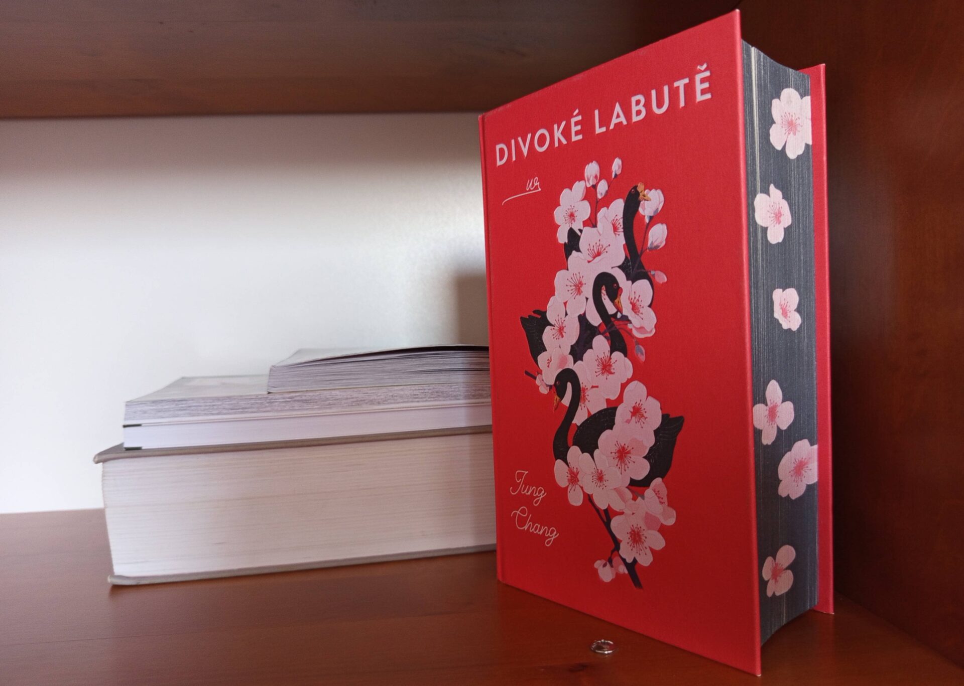 Divoké labutě - obrázek 1