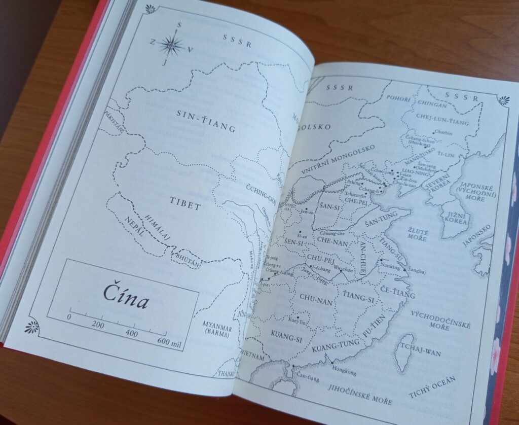 Divoké labutě - obrázek 2