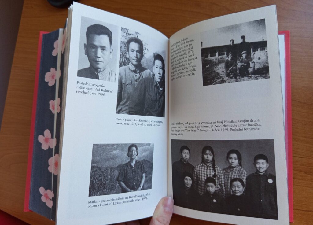 Divoké labutě - obrázek 3