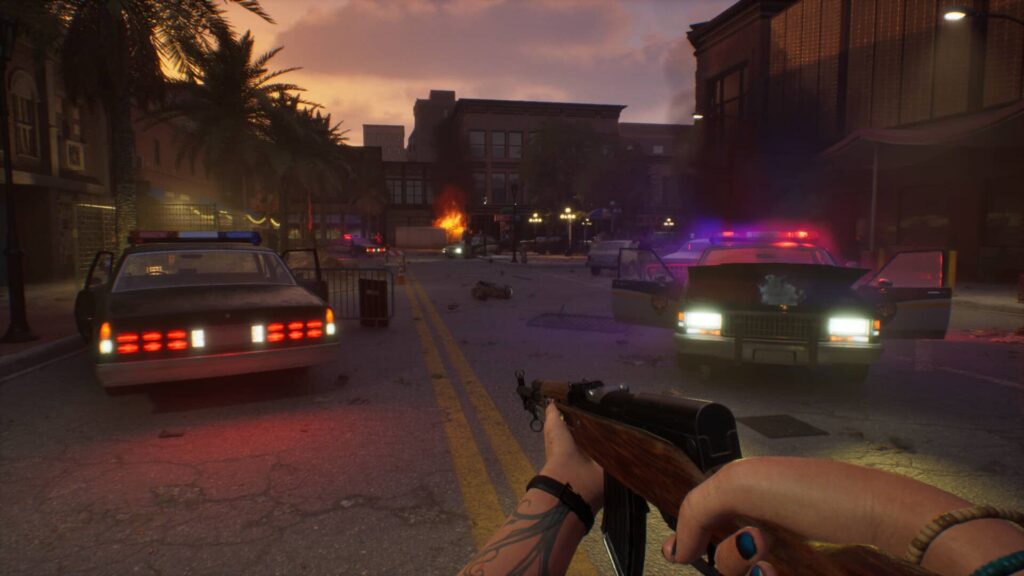 Flesh and Wire - policejní auta