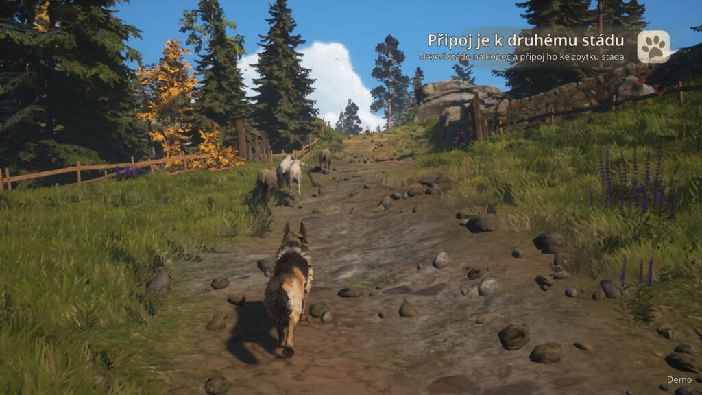 Hubert - stádo ovcí