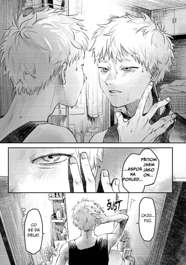 Léto, kdy umřel Hikaru 2 - Hikaru