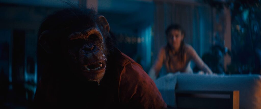 Primát - úvodka s Benem