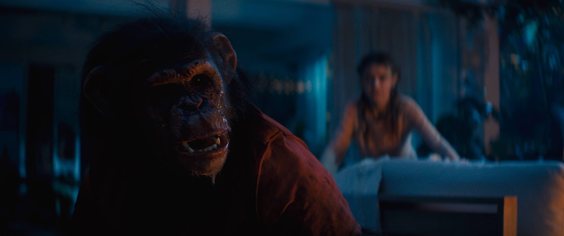 Primát - úvodka s Benem