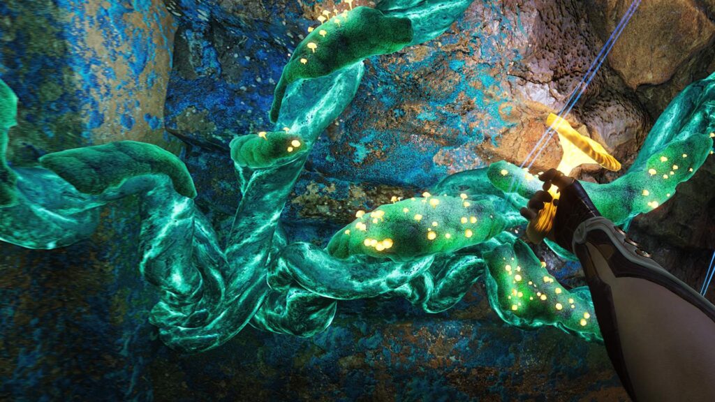 Reach - Češi jsou výborní houbaři