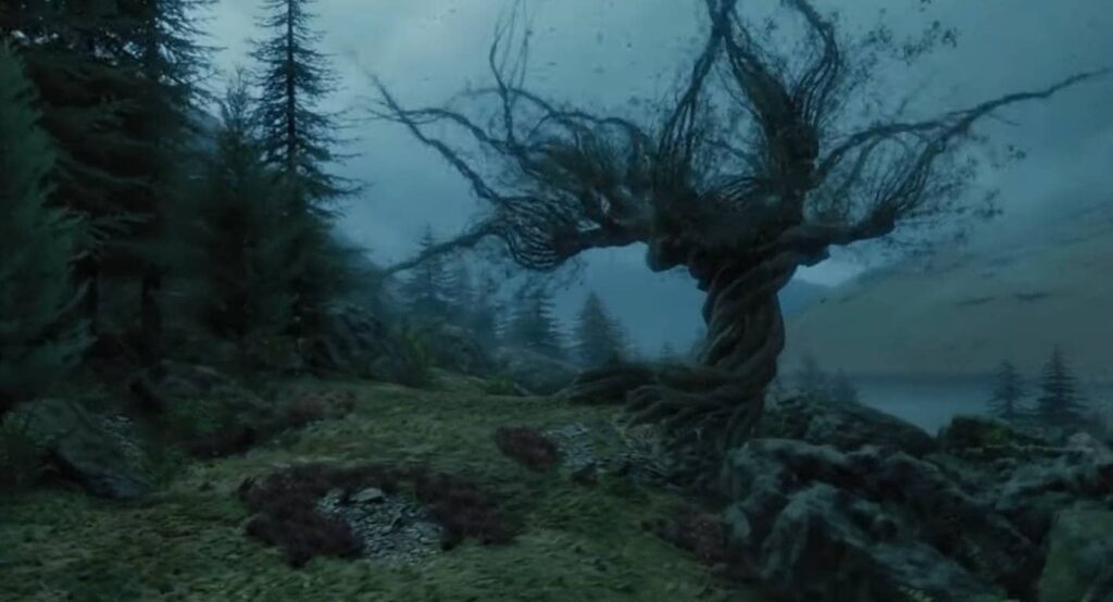 Článek Stromy a Enti - Vrba mlátička