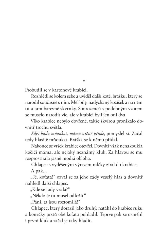 Kočičí loučení - ukázka 1