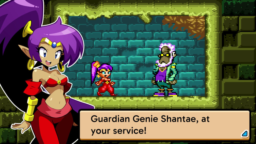 Shantae Advance Risky Revolution - pane král džin