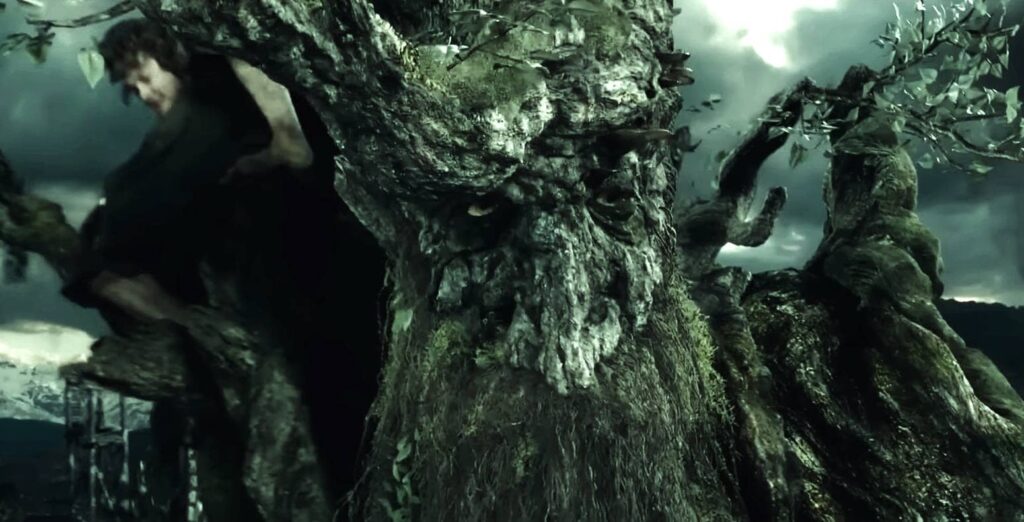 Stromy a enti - úvodka