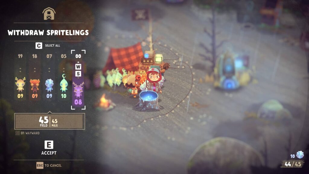 The Wild at Heart - sestava týmu