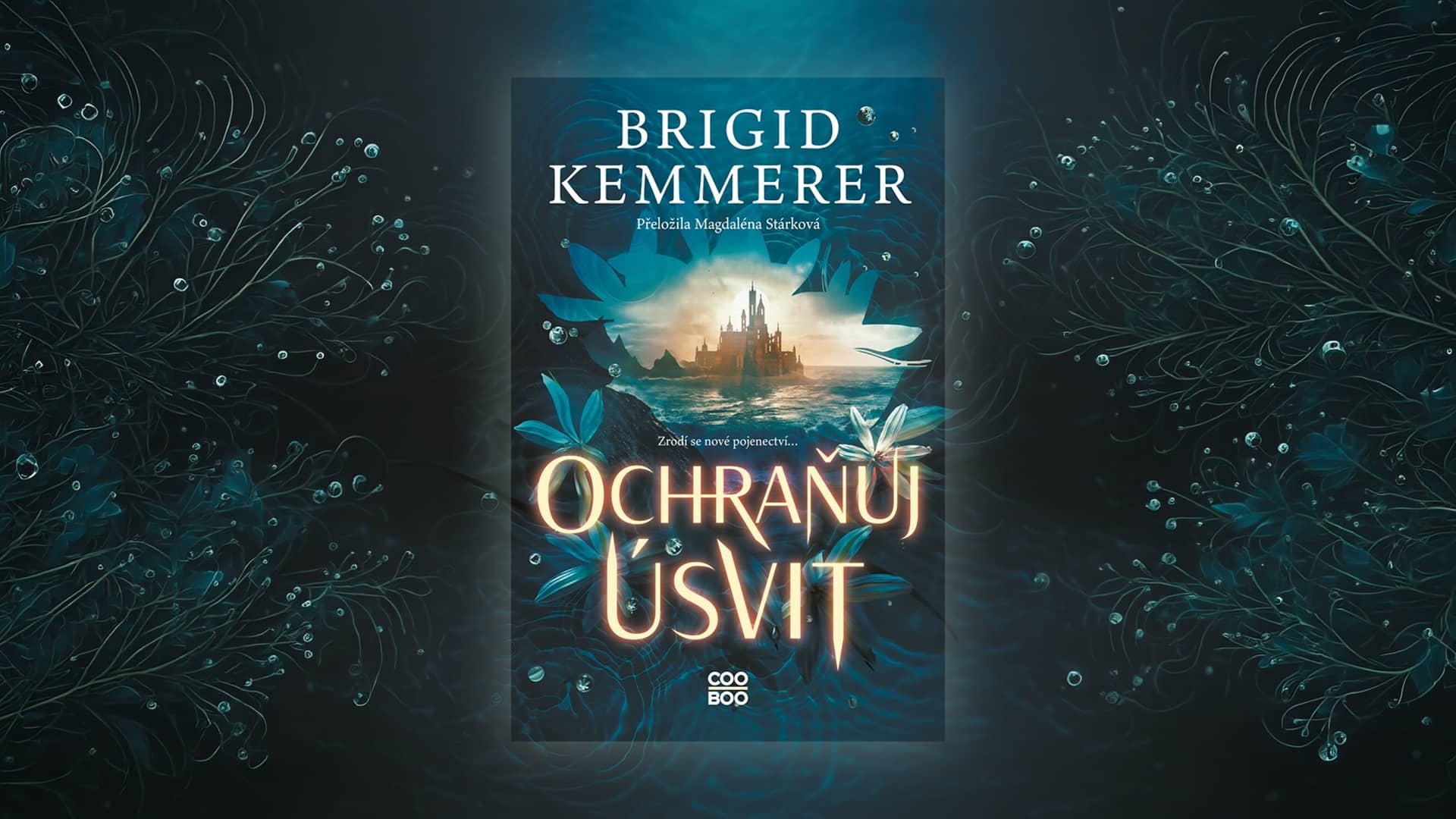 Ochraňuj úsvit - titulka knihy