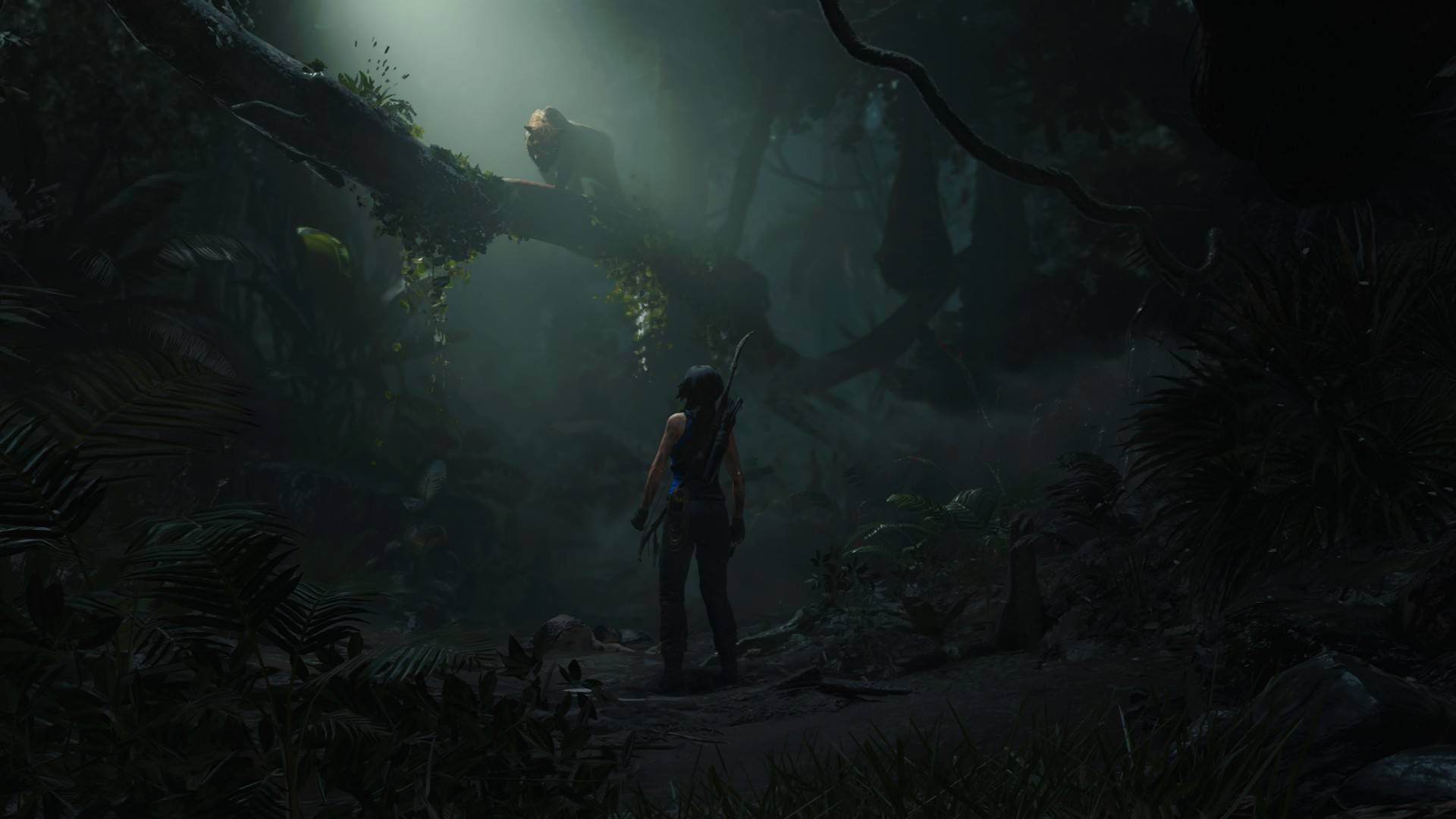 Shadow of the Tomb Raider Definitive Edition - cover