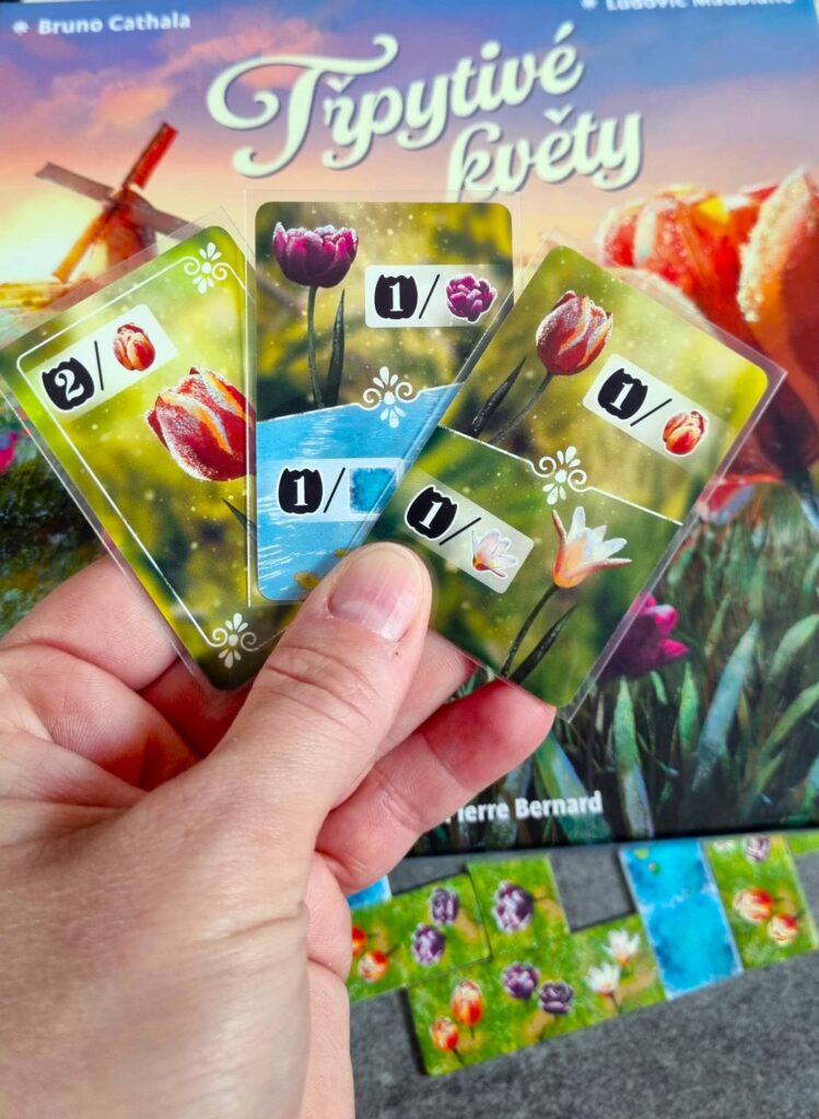 Třpytivé květy - karty hráče