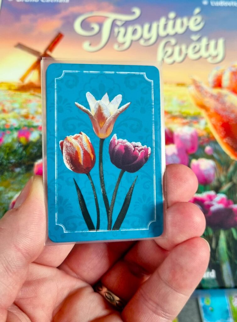 Třpytivé květy - rubová strana karet