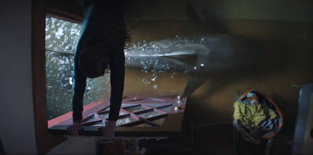 Žraločí smršť - žralok v kuchyni - úvodka