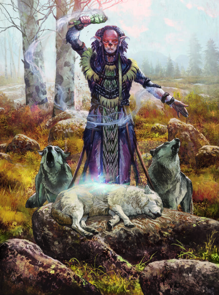 Fateforge: Kroniky Kaanu - ilustrace 3