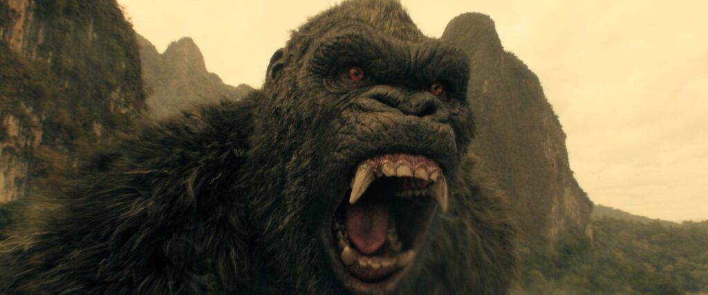 Monarch Odkaz monster - Kong