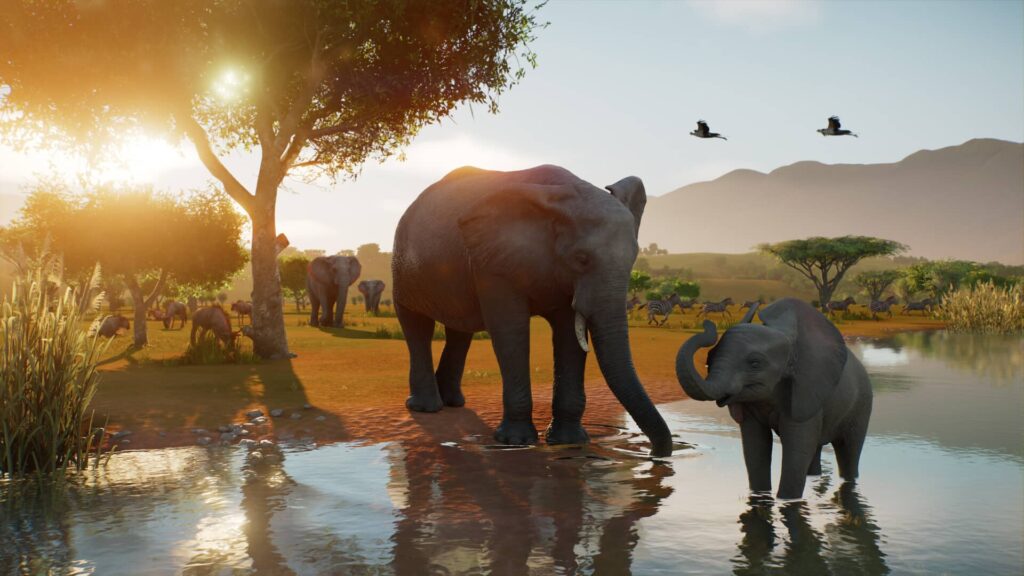 Planet Zoo 2 - sloníci