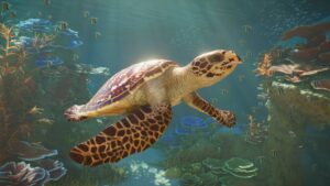 Planet Zoo 2 - želva