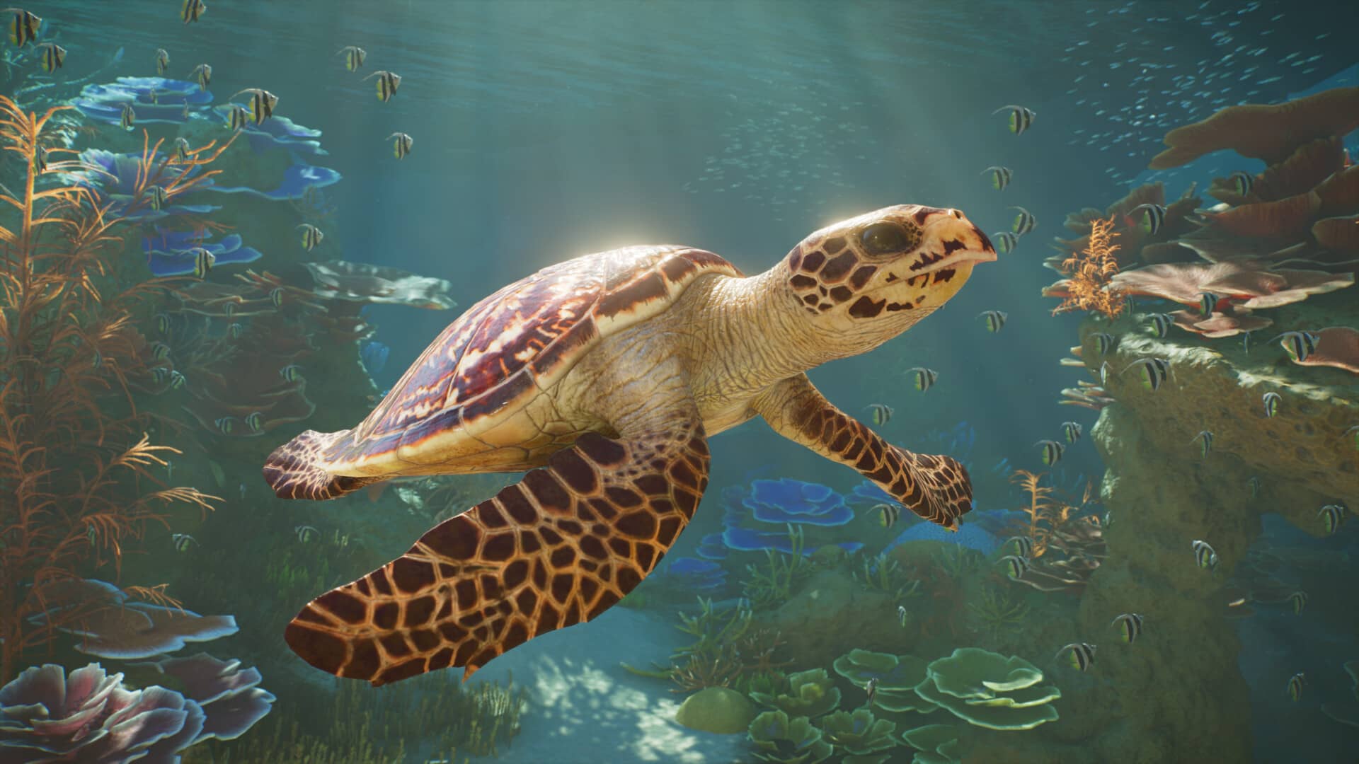 Planet Zoo 2 - želva