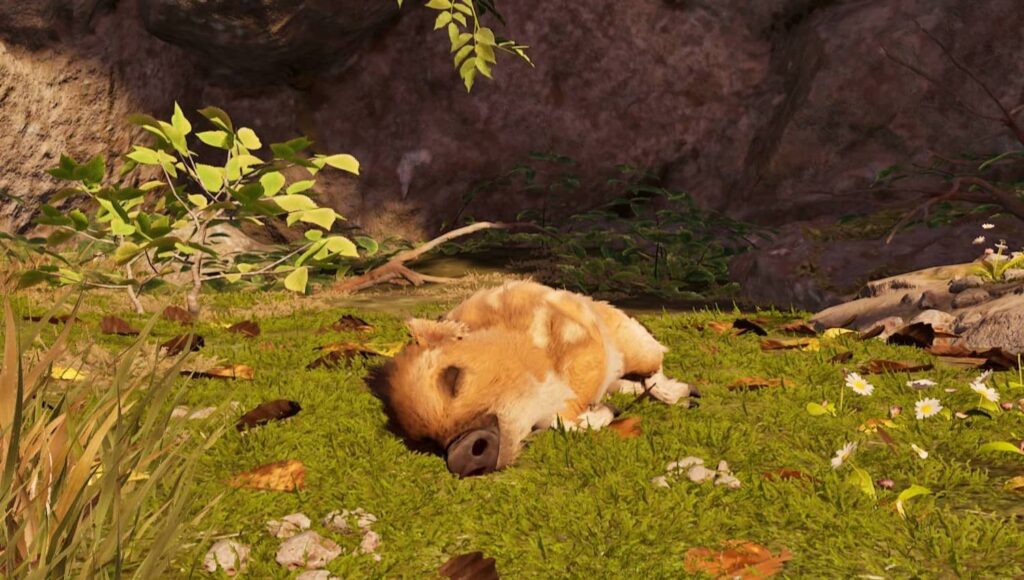 Adorable Adventures - Boris
