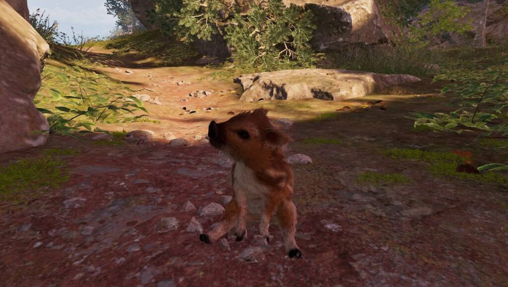 Adorable Adventures - Boris 2