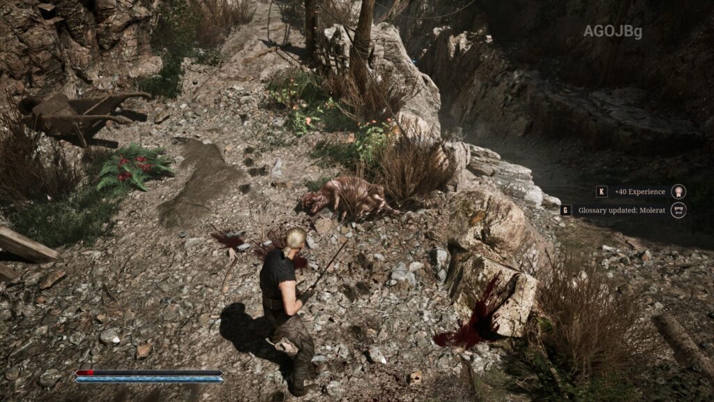 Gothic 1 Remake molerat