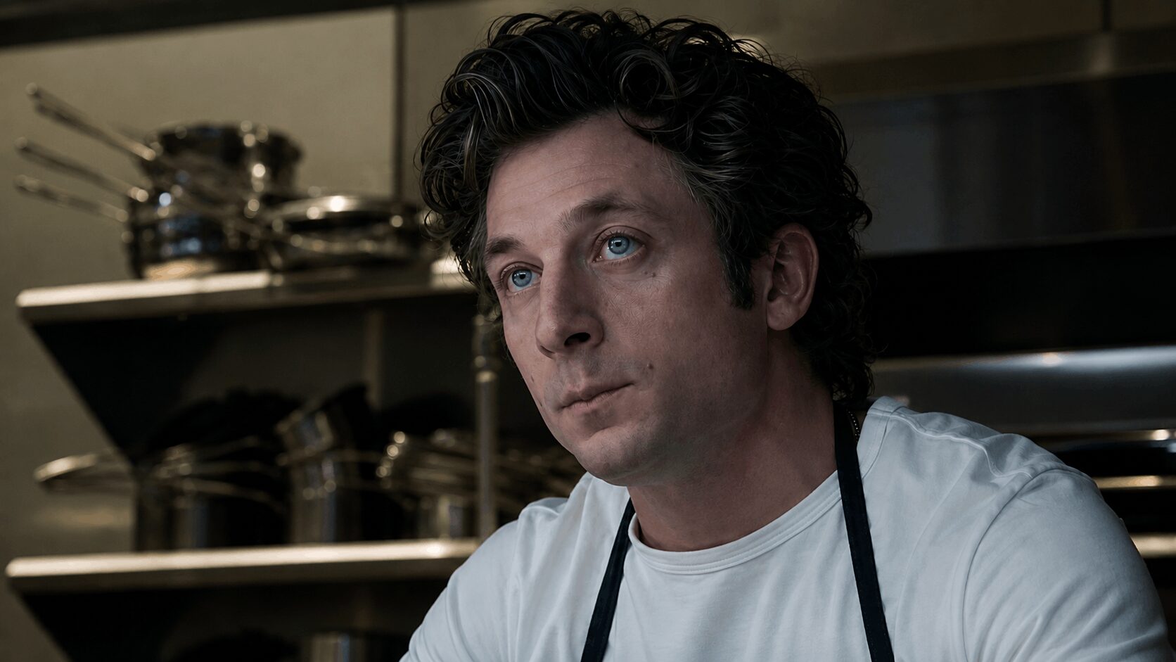 Medvěd - Náhled